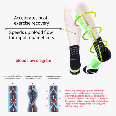 Everyday Compression Sock 3-Pack (15-25mmHg)