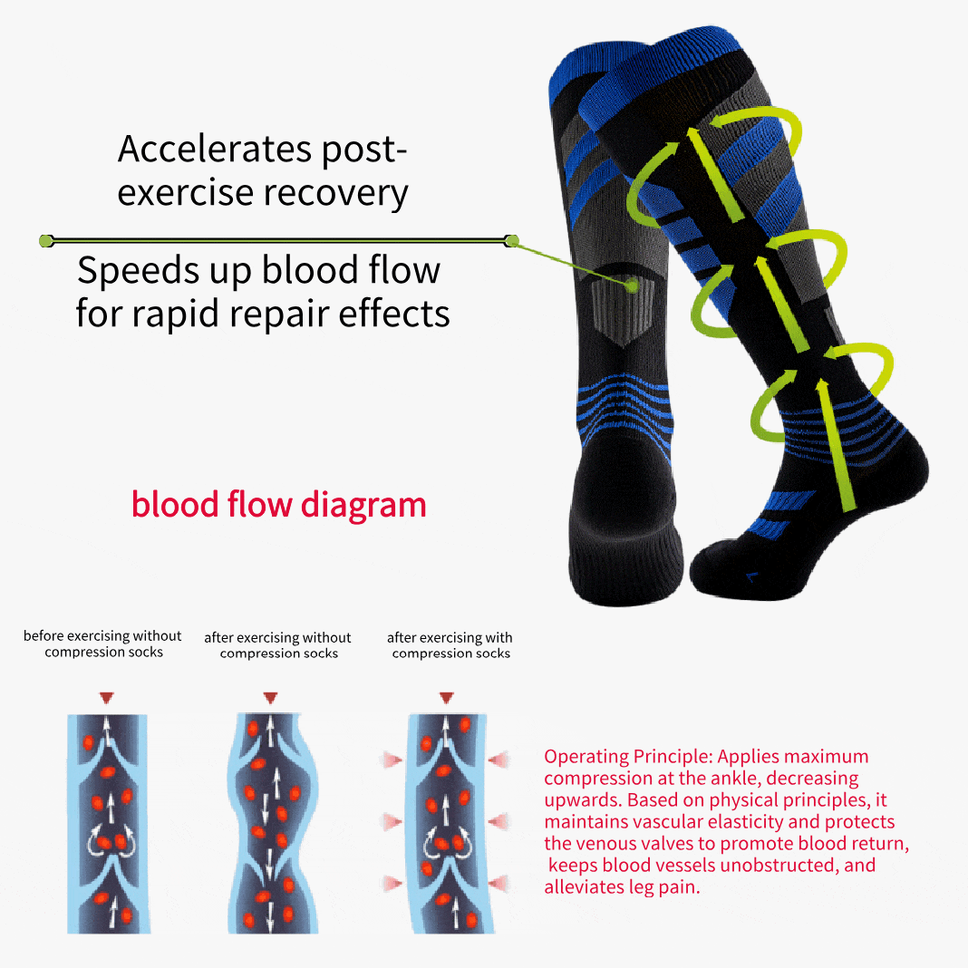 Women's Performance Compression Sock 6-Pack (15-25mmHg)
