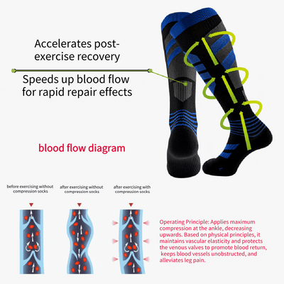 Women's Performance Compression Sock 6-Pack (15-25mmHg)